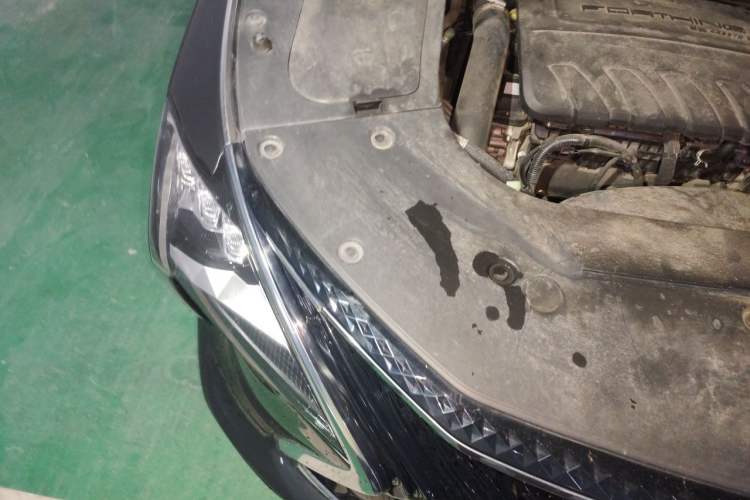 Used FORTHING Yacht 2022 1.5T DCT Yangfan Edition Engine Bay Right