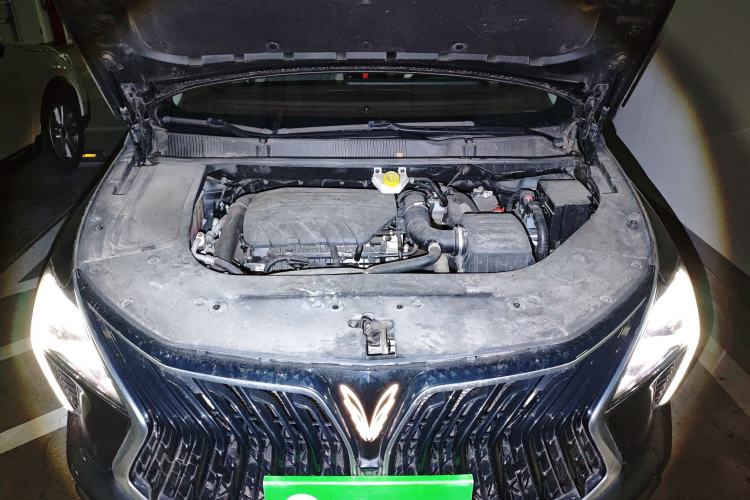 Used FORTHING Yacht 2022 1.5T DCT Chasing-the-Waves Edition Engine Bay