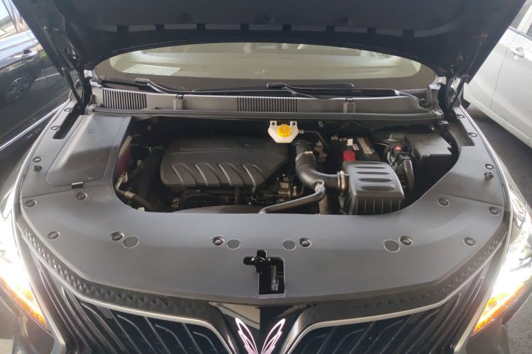 Used FORTHING Yacht 2022 1.5T DCT Chasing Wind Edition Engine Bay
