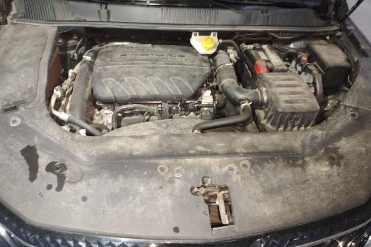 Used FORTHING Yacht 2022 1.5T DCT Yangfan Edition Engine Bay