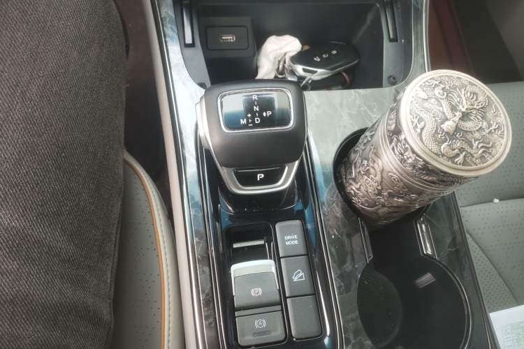Used FORTHING Yacht 2022 1.5T DCT Lan Yue Edition Gear Lever