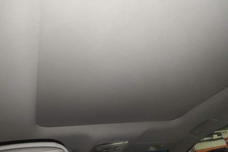 Used FORTHING Yacht 2022 1.5T DCT Chasing-the-Waves Edition Headliner