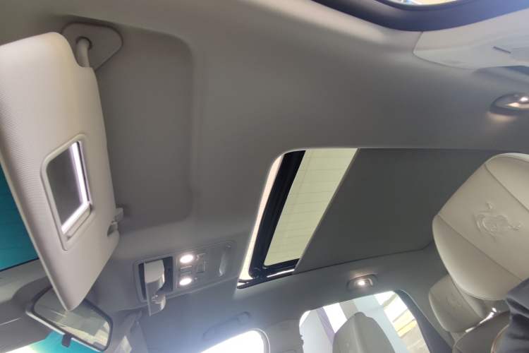 Used FORTHING Yacht 2022 1.5T DCT Chasing Wind Edition Headliner