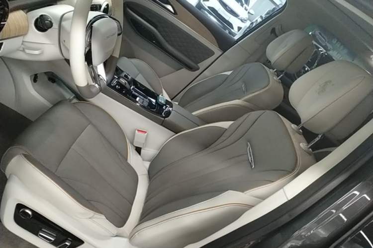 Used FORTHING Yacht 2022 1.5T DCT Chasing Wind Edition Left Front Seat