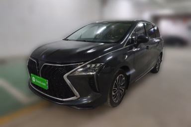 Used FORTHING Yacht 2022 1.5T DCT Yangfan Edition