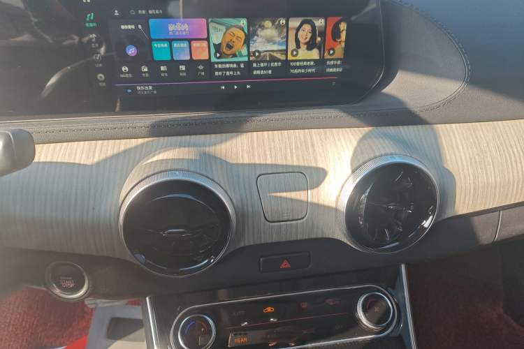Used FORTHING Yacht 2022 1.5T DCT Chasing-the-Waves Edition Audio And AC Panel