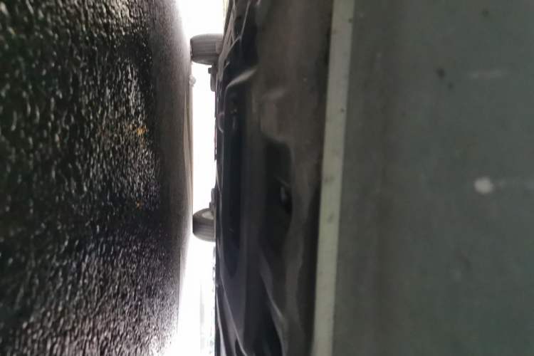 Used FORTHING Yacht 2022 1.5T DCT Yangfan Edition Chassis Front