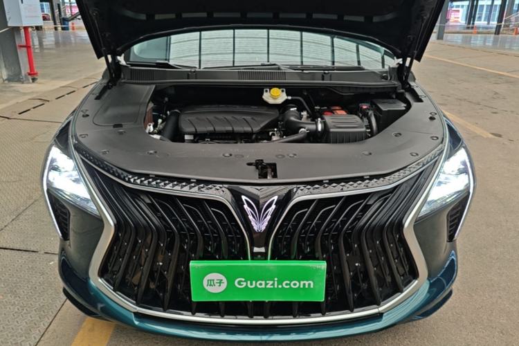 Used FORTHING Yacht 2022 1.5T DCT Chasing-the-Waves Edition Engine Bay