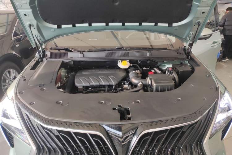 Used FORTHING Yacht 2022 1.5T DCT Chasing-the-Waves Edition Engine Bay