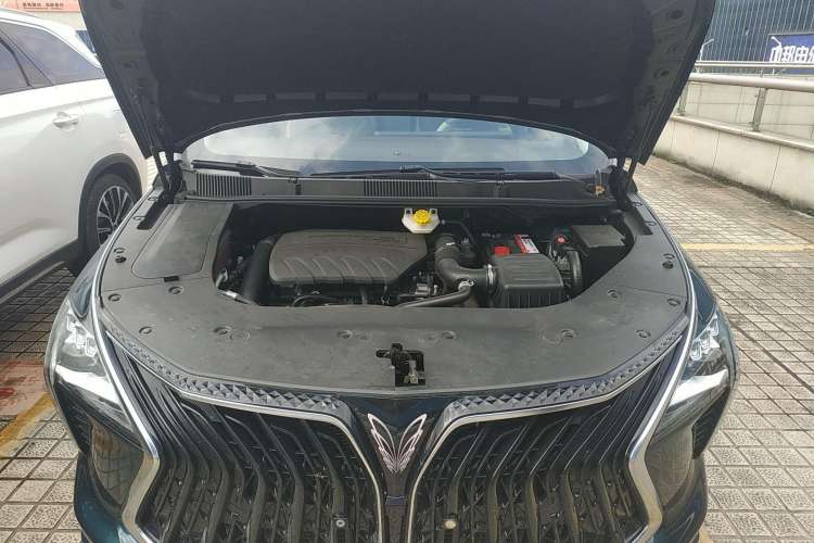 Used FORTHING Yacht 2022 1.5T DCT Chasing Wind Edition Engine Bay