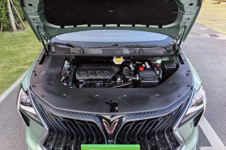 Used FORTHING Yacht 2022 1.5T DCT Chasing-the-Waves Edition Engine Bay