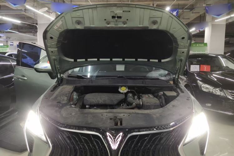 Used FORTHING Yacht 2022 1.5T DCT Chasing-the-Waves Edition Engine Bay