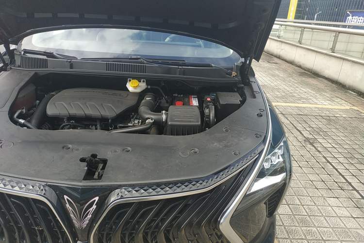 Used FORTHING Yacht 2022 1.5T DCT Chasing Wind Edition Engine Bay Left