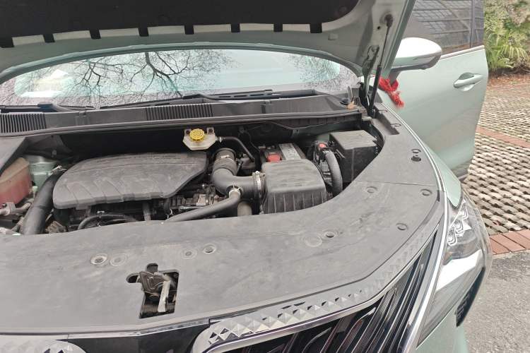 Used FORTHING Yacht 2022 1.5T DCT Chasing-the-Waves Edition Engine Bay Left