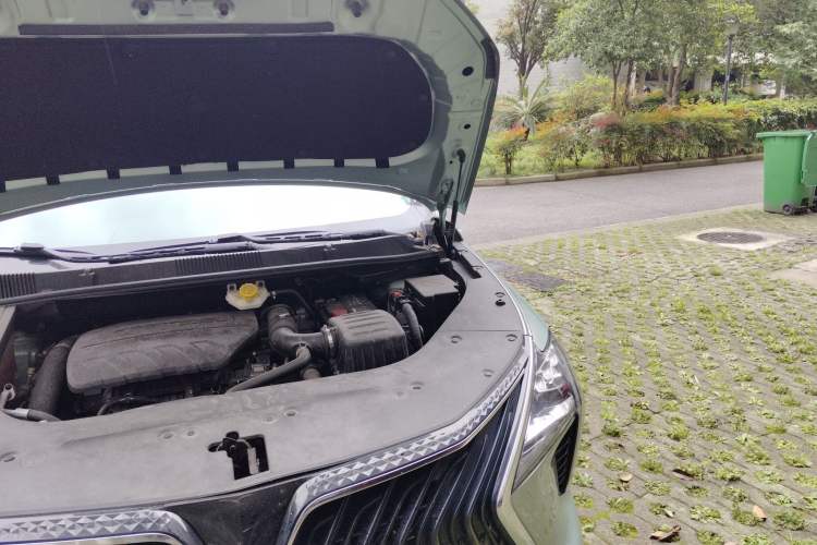 Used FORTHING Yacht 2022 1.5T DCT Lan Yue Edition Engine Bay Left