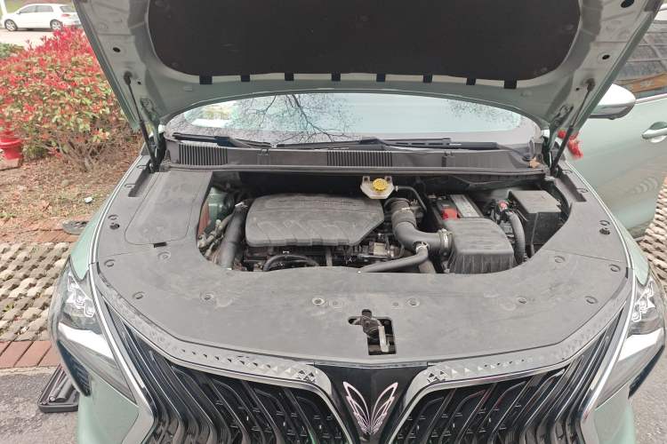 Used FORTHING Yacht 2022 1.5T DCT Chasing-the-Waves Edition Engine Bay