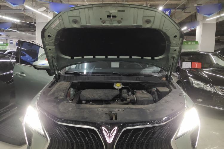 Used FORTHING Yacht 2022 1.5T DCT Chasing-the-Waves Edition Engine Bay