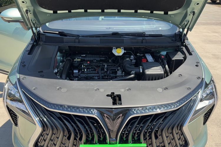 Used FORTHING Yacht 2022 1.5T DCT Lan Yue Edition Engine Bay