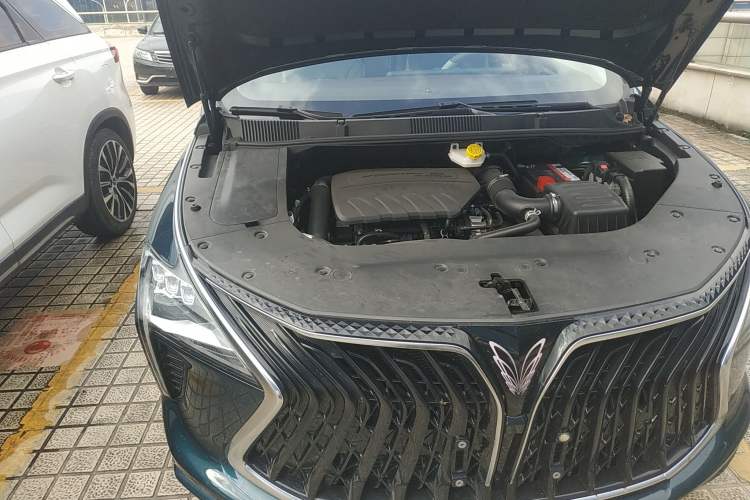 Used FORTHING Yacht 2022 1.5T DCT Chasing Wind Edition Engine Bay Right