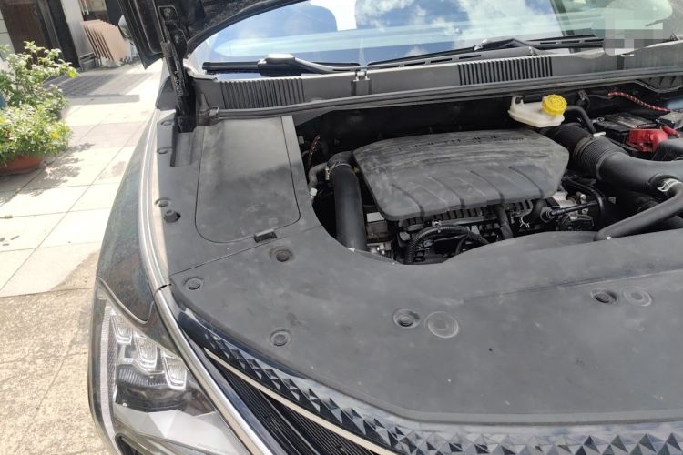 Used FORTHING Yacht 2022 1.5T DCT Chasing-the-Waves Edition Engine Bay Right