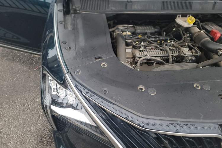 Used FORTHING Yacht 2022 1.5T DCT Chasing Wind Edition Engine Bay Right