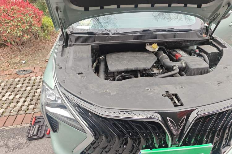 Used FORTHING Yacht 2022 1.5T DCT Chasing-the-Waves Edition Engine Bay Right