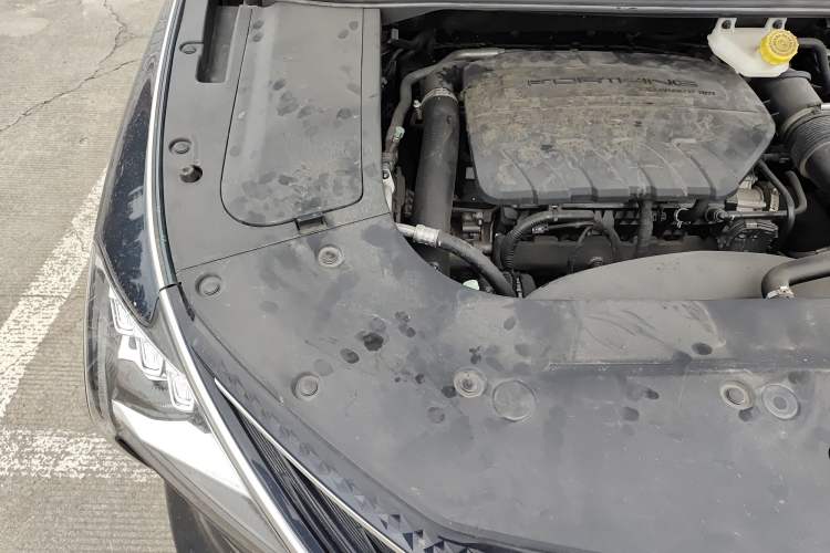 Used FORTHING Yacht 2022 1.5T DCT Chasing-the-Waves Edition Engine Bay Right