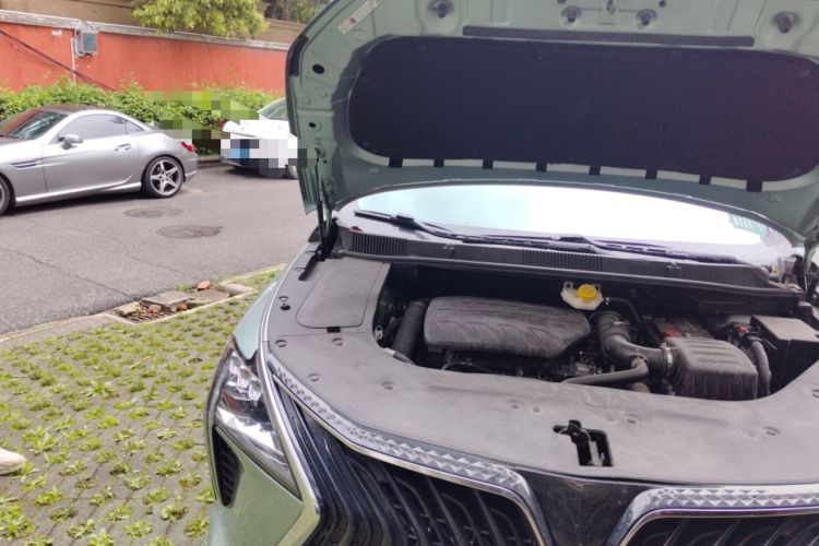 Used FORTHING Yacht 2022 1.5T DCT Lan Yue Edition Engine Bay Right