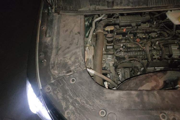 Used FORTHING Yacht 2022 1.5T DCT Lan Yue Edition Engine Bay Right