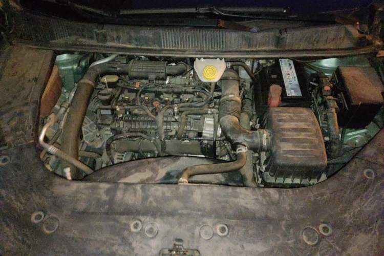Used FORTHING Yacht 2022 1.5T DCT Lan Yue Edition Engine Bay