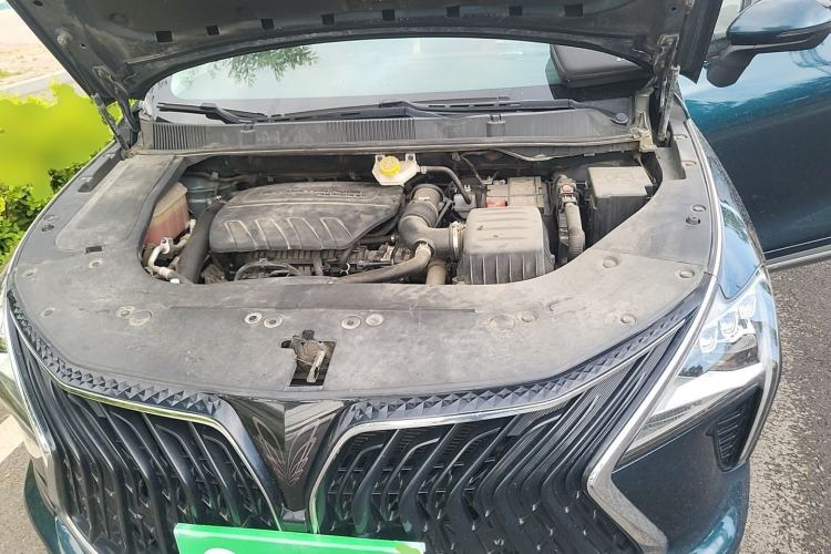 Used FORTHING Yacht 2022 1.5T DCT Chasing Wind Edition Engine Bay