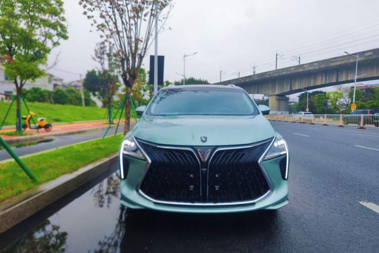 Used FORTHING Yacht 2022 1.5T DCT Lan Yue Edition Exterior 2