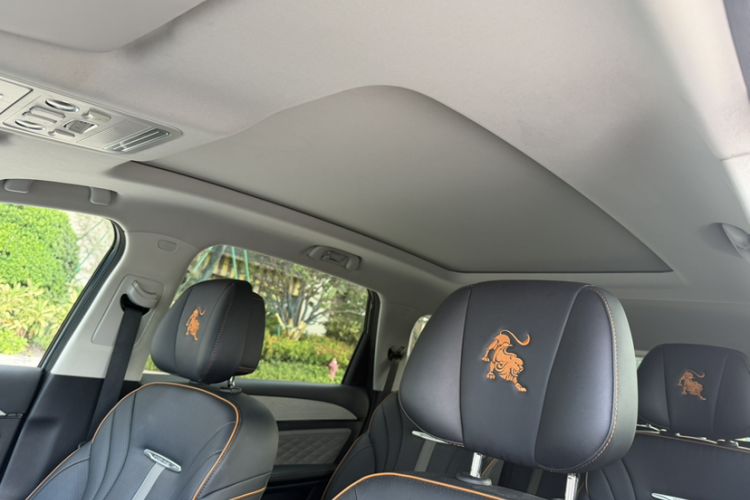 Used FORTHING Yacht 2022 1.5T DCT Chasing Wind Edition Headliner