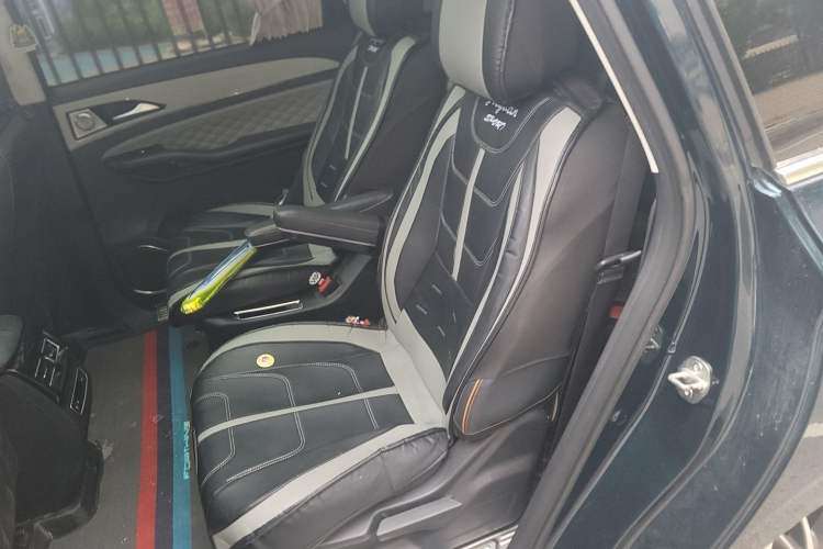 Used FORTHING Yacht 2022 1.5T DCT Chasing Wind Edition Left Rear Seat