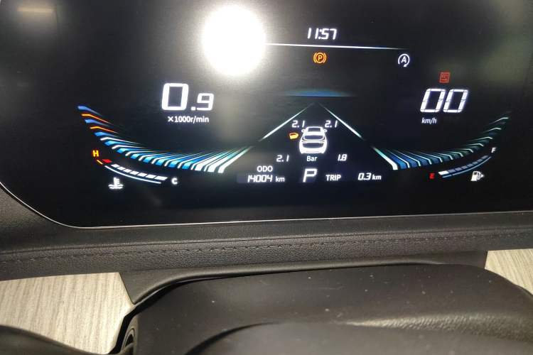 Used FORTHING Yacht 2022 1.5T DCT Yangfan Edition Odometer Close Up