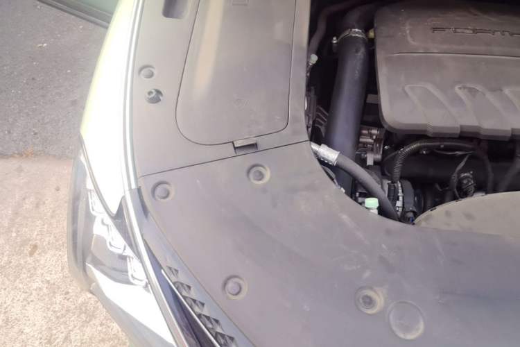 Used FORTHING Yacht 2022 1.5T DCT Chasing Wind Edition Engine Bay Right