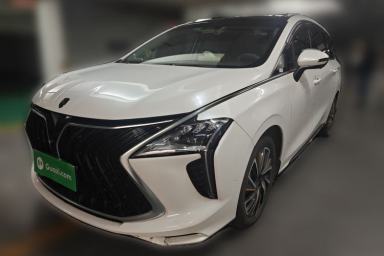Used FORTHING Yacht 2022 1.5T DCT Chasing-the-Waves Edition