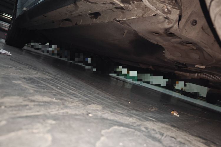 Used FORTHING Yacht 2022 1.5T DCT Chasing-the-Waves Edition Chassis Front Right