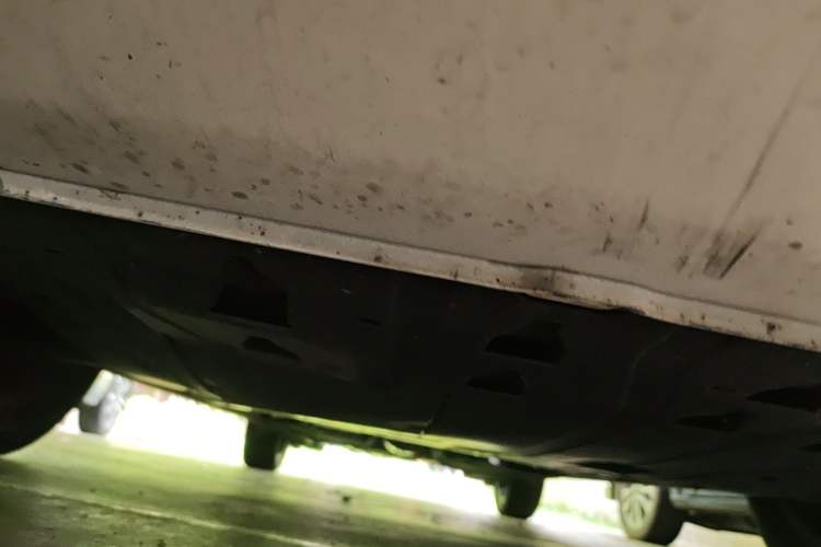Used FORTHING Yacht 2022 1.5T DCT Chasing-the-Waves Edition Chassis Front