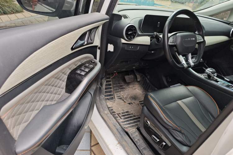 Used FORTHING Yacht 2022 1.5T DCT Chasing Wind Edition Driver Seat