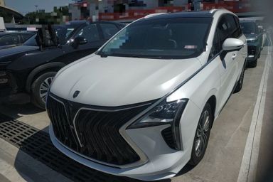 Used FORTHING Yacht 2022 1.5T DCT Chasing-the-Waves Edition