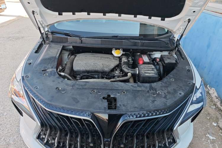 Used FORTHING Yacht 2022 1.5T DCT Chasing-the-Waves Edition Engine Bay