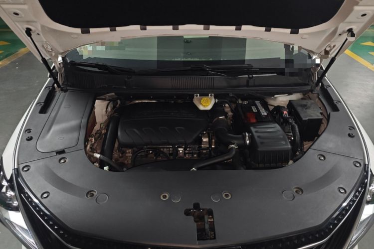 Used FORTHING Yacht 2022 1.5T DCT Chasing-the-Waves Edition Engine Bay