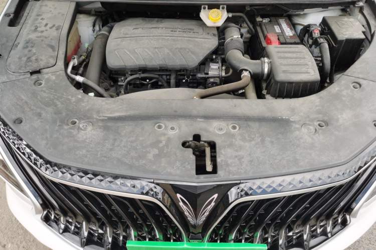 Used FORTHING Yacht 2022 1.5T DCT Chasing-the-Waves Edition Engine Bay