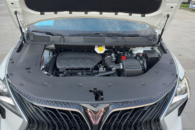 Used FORTHING Yacht 2022 1.5T DCT Chasing-the-Waves Edition Engine Bay