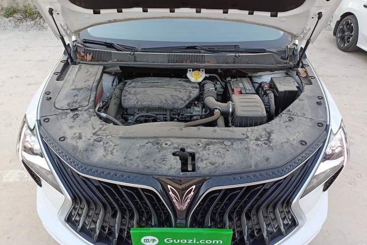 Used FORTHING Yacht 2022 1.5T DCT Chasing Wind Edition Engine Bay