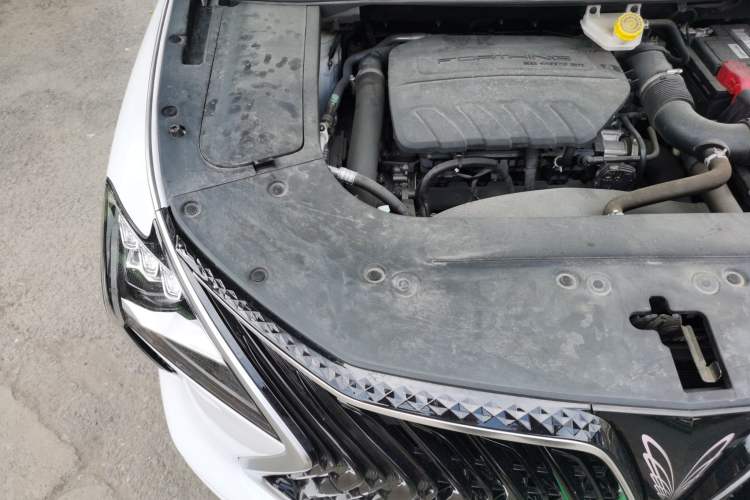 Used FORTHING Yacht 2022 1.5T DCT Chasing-the-Waves Edition Engine Bay Right