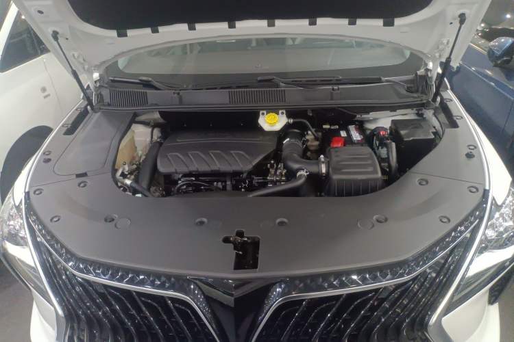 Used FORTHING Yacht 2022 1.5T DCT Chasing Wind Edition Engine Bay