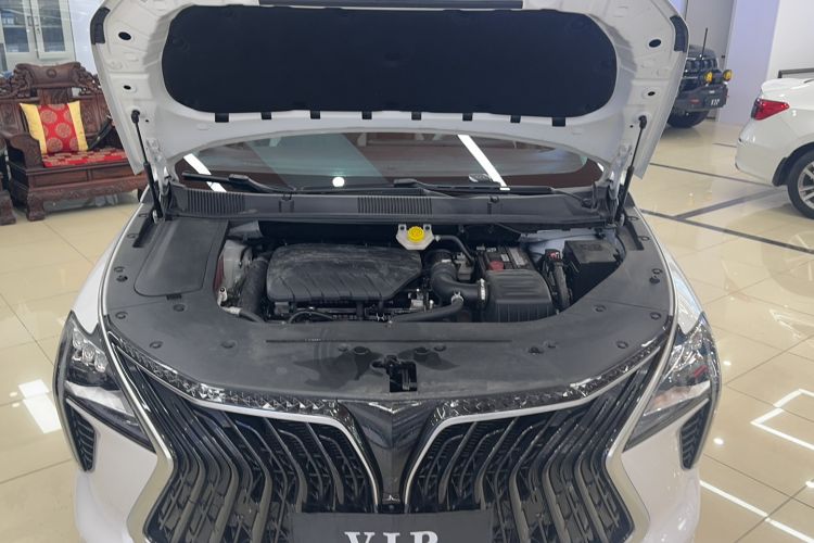 Used FORTHING Yacht 2022 1.5T DCT Chasing-the-Waves Edition Engine Bay