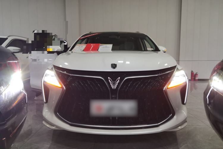 Used FORTHING Yacht 2022 1.5T DCT Chasing-the-Waves Edition Exterior 1